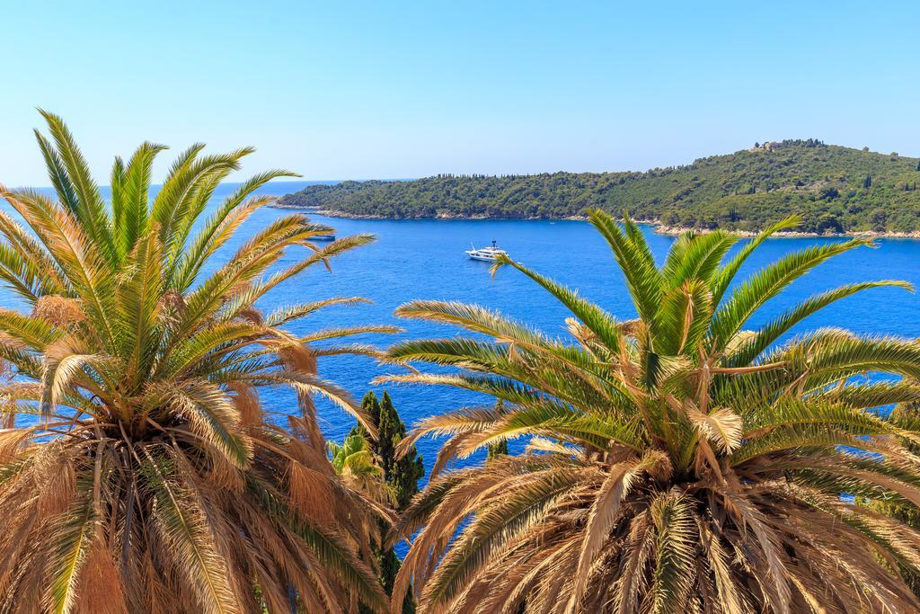 Two Palm Trees Apartment Дубровник Екстериор снимка